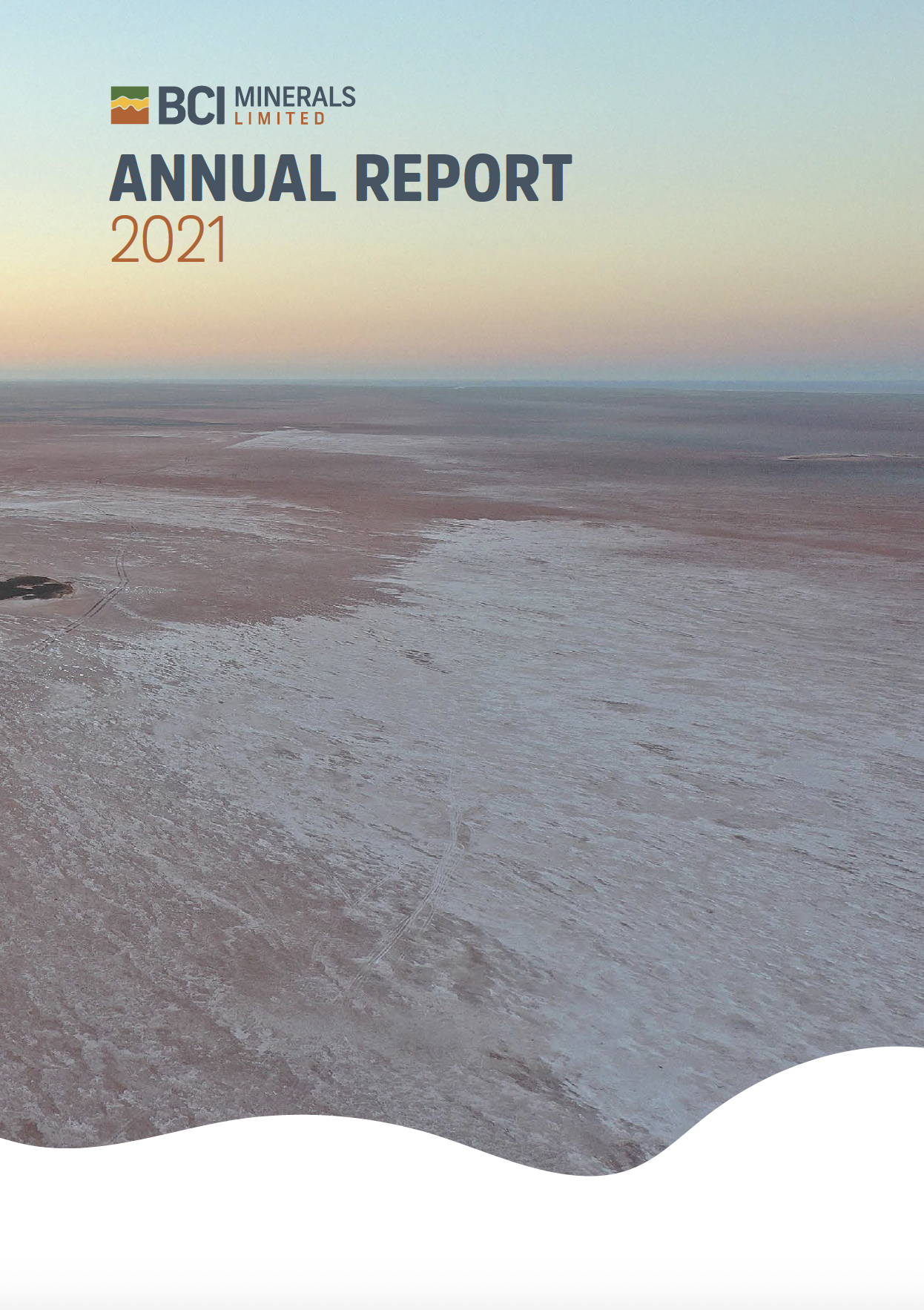 annual report 2020