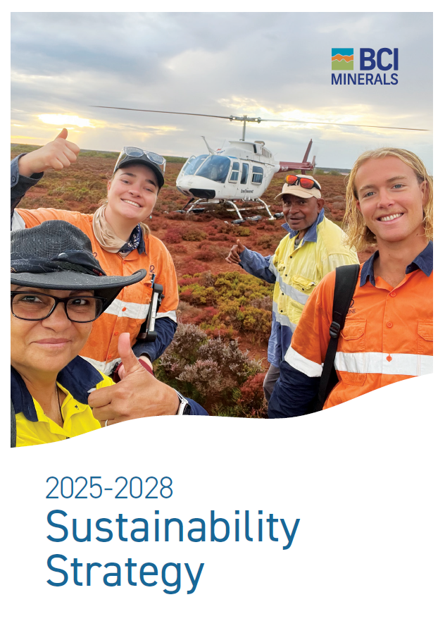 sustainability strategy 2025